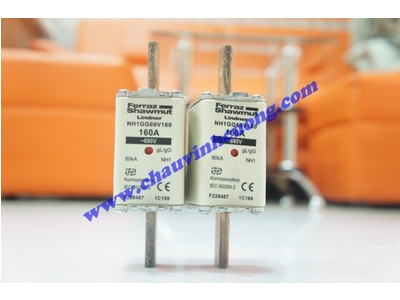 CẦU CHÌ FERRAZ SHAWMUT NH1GG69V160