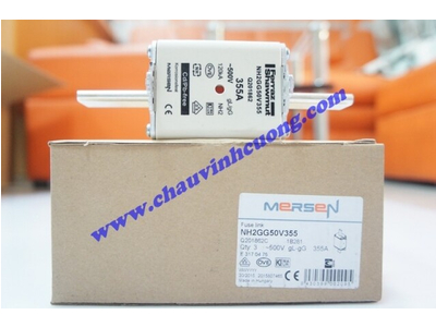 CẦU CHÌ FERRAZ SHAWMUT NH2GG50V355