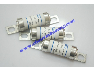 CẦU CHÌ FERRAZ SHAWMUT P221250