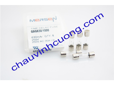 CẦU CHÌ FERRAZ SHAWMUT GDG630/1000