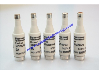 CẦU CHÌ FERRAZ SHAWMUT NDZGG50V2