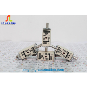 CẦU CHÌ FERRAZ SHAWMUT NH000GG50V25