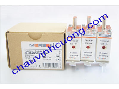 CẦU CHÌ FERRAZ SHAWMUT 690V 25A NH000GS69V25PV