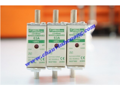 Cầu chì Ferraz Shawmut 690V 63A NH000AM69V63
