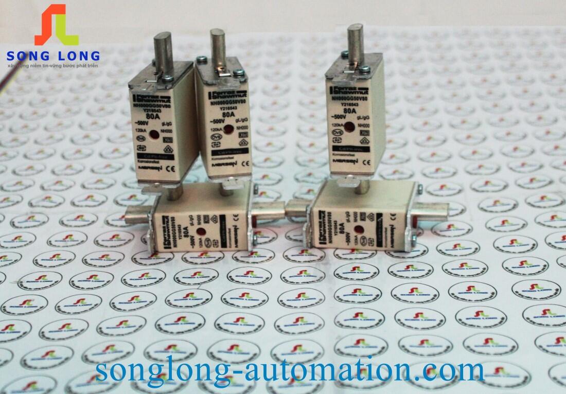 CẦU CHÌ FERRAZ SHAWMUT NH000GG50V80