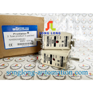 CẦU CHÌ FERRAZ SHAWMUT NH00GG69V63