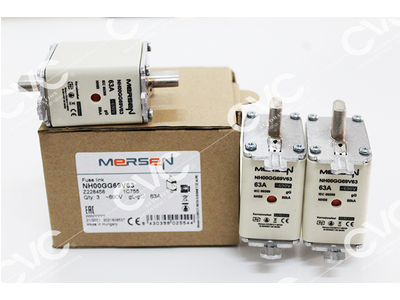 CẦU CHÌ FERRAZ SHAWMUT NH00GG69V63