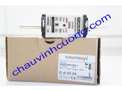 CẦU CHÌ FERRAZ SHAWMUT NH2GG50V250-1