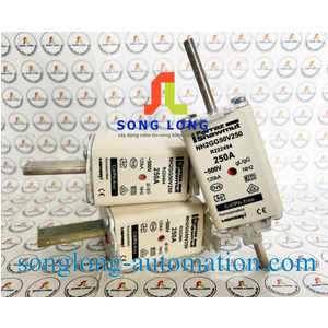 CẦU CHÌ MERSEN NH2GG50V250