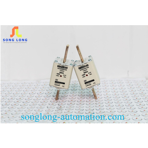 CẦU CHÌ FERRAZ SHAWMUT NH2GG50V500