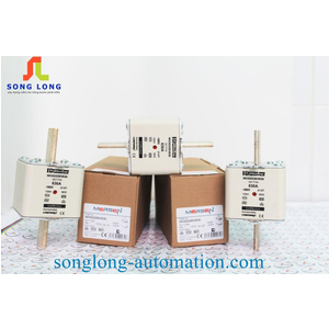 CẦU CHÌ FERRAZ SHAWMUT NH3GG50V630