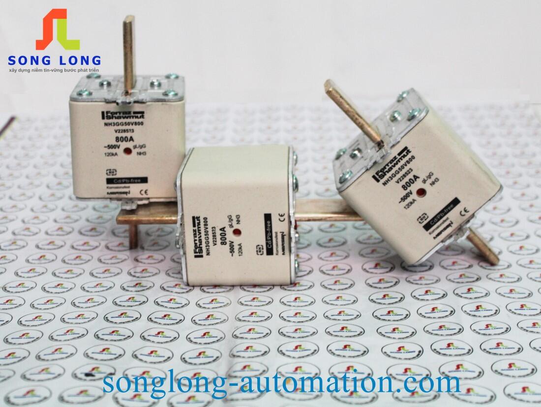 CẦU CHÌ FERRAZ SHAWMUT NH3GG50V800