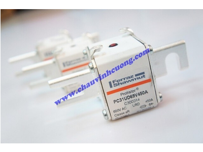CẦU CHÌ FERRAZ SHAWMUT PC31UD69V450A