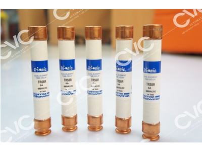 CẦU CHÌ FERRAZ SHAWMUT TRS6R