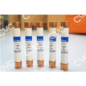 CẦU CHÌ FERRAZ SHAWMUT TRS6R
