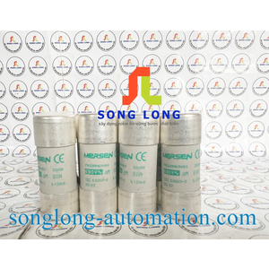CẦU CHÌ MERSEN FR22AM69V80