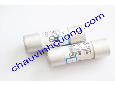 Cầu chì Fuji FCF2-5