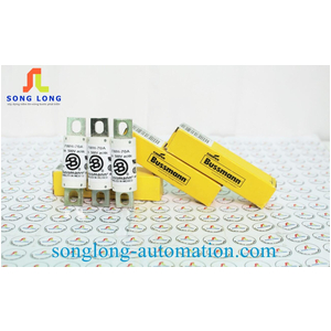 CẦU CHÌ BUSSMANN FWH-70A