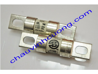 Cầu Chì FWH-70B Bussmann
