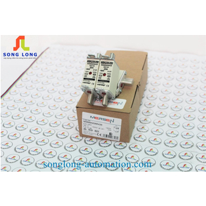 CẦU CHÌ FERRAZ SHAWMUT NH000GG50V25