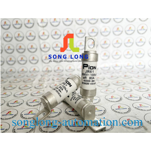 CẦU CHÌ PION JR61 80A