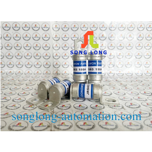 CẦU CHÌ JOONGWON JRS63 150A