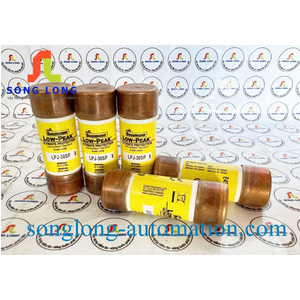 CẦU CHÌ BUSSMANN LPJ-30SP