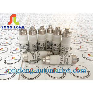 CẦU CHÌ CỔ CHAI FERRAZ SHAWMUT D01GG40V16