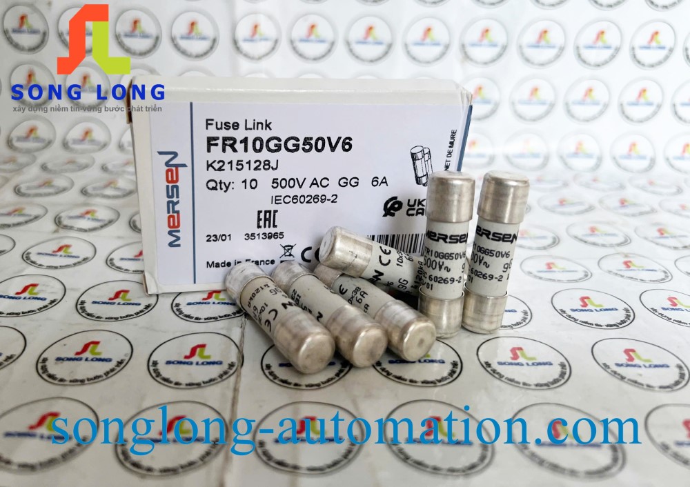 CẦU CHÌ MERSEN FR10GG50V6