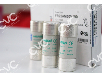 CẦU CHÌ FERRAZH SHAWMUT (MERSEN) FR22AM50V100