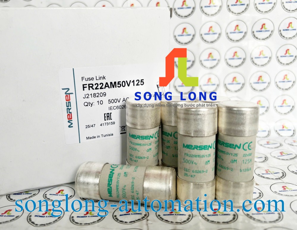 CẦU CHÌ MERSEN FR22AM50V125