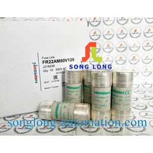 CẦU CHÌ MERSEN FR22AM50V125