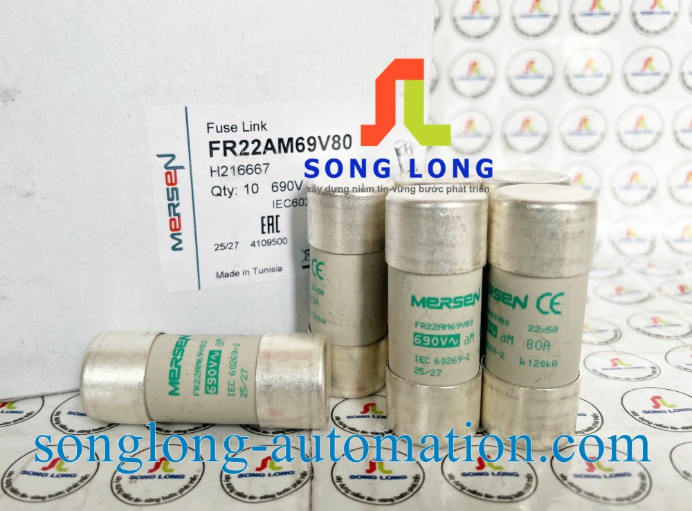 CẦU CHÌ MERSEN FR22AM69V80