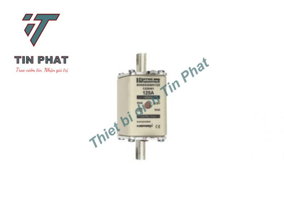 CẦU CHÌ MERSEN NH00GG69V125 690V 125A