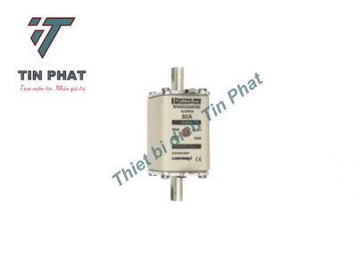 CẦU CHÌ MERSEN NH00GG69V80 690V 80A