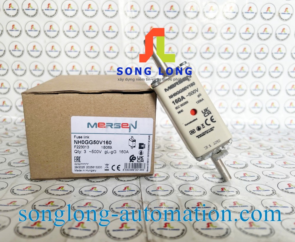 CẦU CHÌ MERSEN NH0GG50V160