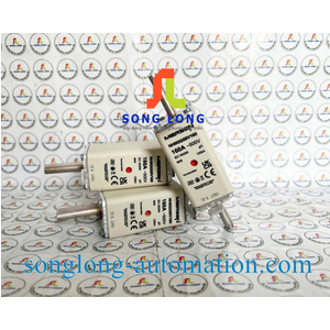 CẦU CHÌ MERSEN NH0GG50V160
