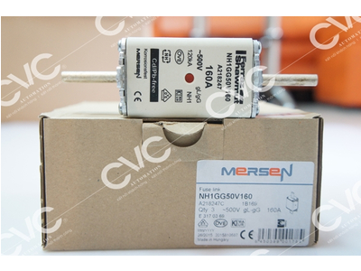 CẦU CHÌ FERRAZ SHAWMUT NH1GG50V160 160A