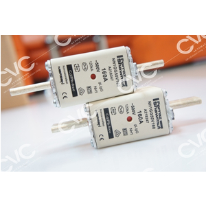 CẦU CHÌ FERRAZ SHAWMUT NH1GG50V160 160A