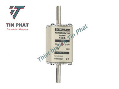 CẦU CHÌ MERSEN NH1GG69V160 690V 160A