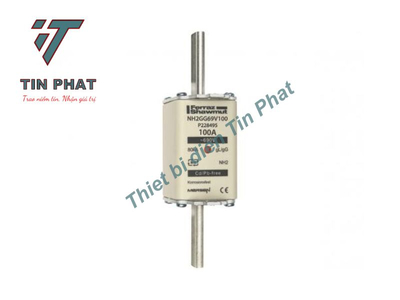 CẦU CHÌ MERSEN NH2GG69V100 690V 100A
