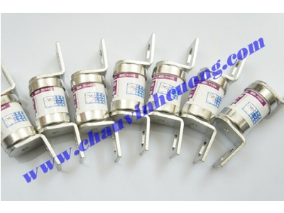 Cầu chì Miro RGS4B