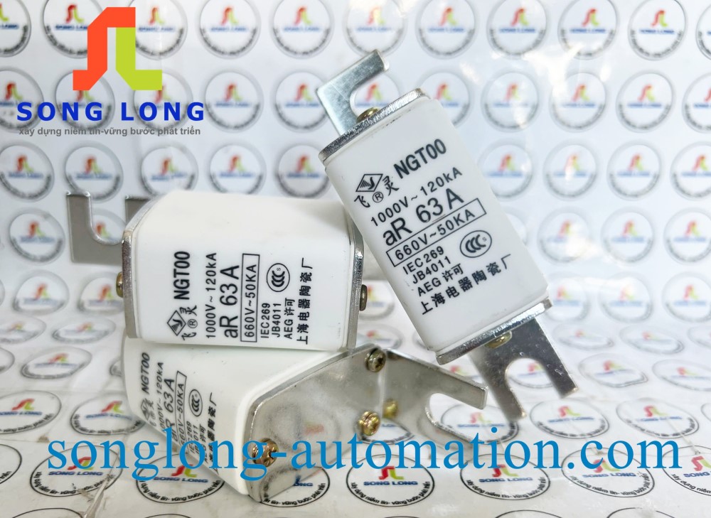 CẦU CHÌ NGT00 63A - 1000V