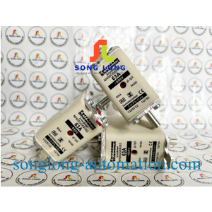 CẦU CHÌ FERRAZ SHAWMUT NH00GG69V63