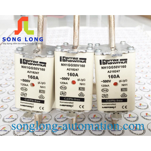 CẦU CHÌ FERRAZ SHAWMUT NH1GG50V160