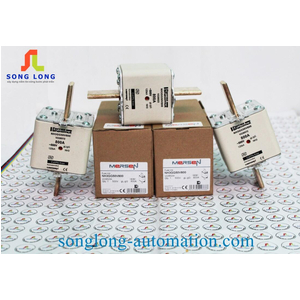 CẦU CHÌ FERRAZ SHAWMUT NH3GG50V800