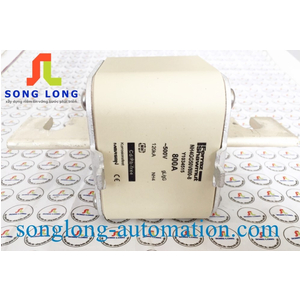 CẦU CHÌ FERRAZ SHAWMUT NH4GG50V800-8