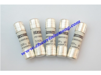 CẦU CHÌ ỐNG FERRAZ SHAWMUT 10X38