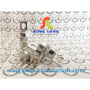 CẦU CHÌ RGS11 500V