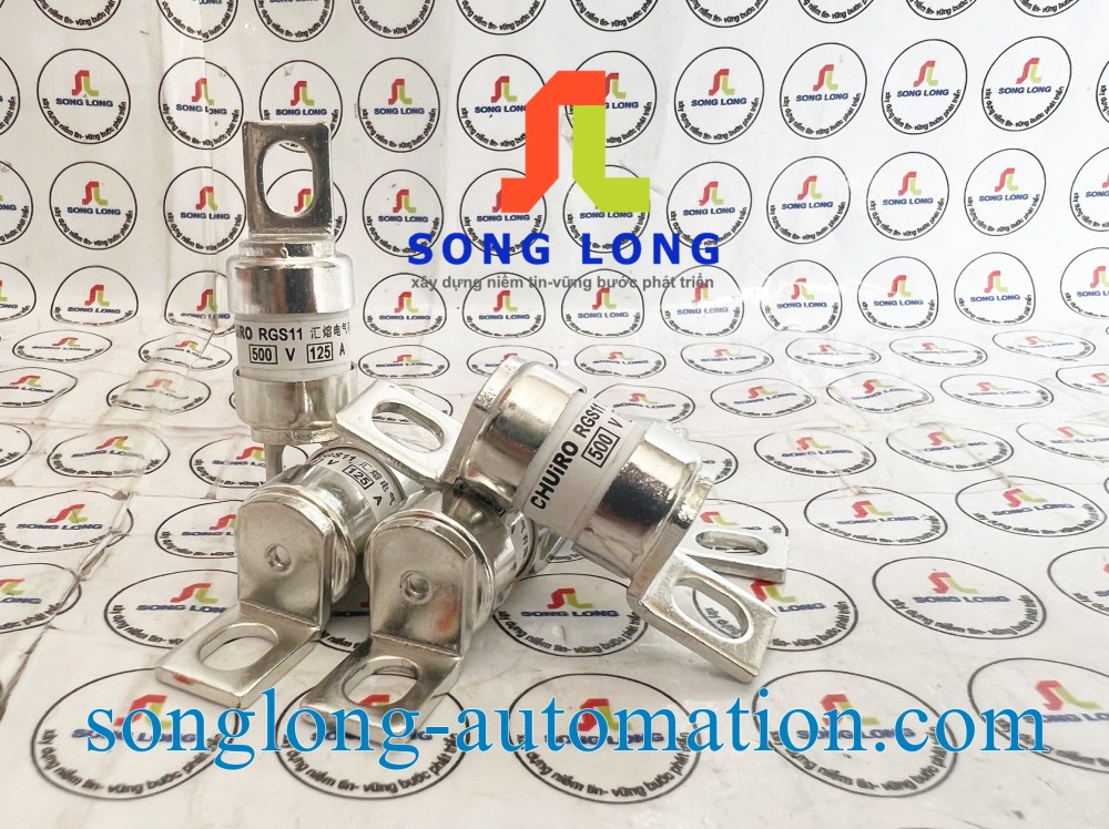 CẦU CHÌ RGS11 500V